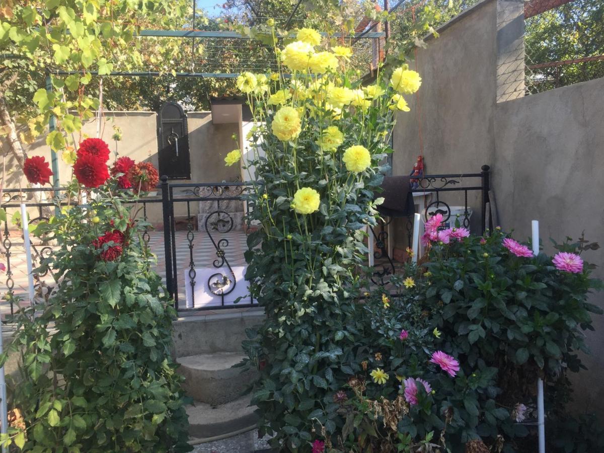 Apartament Sofia Tbiliszi Kültér fotó